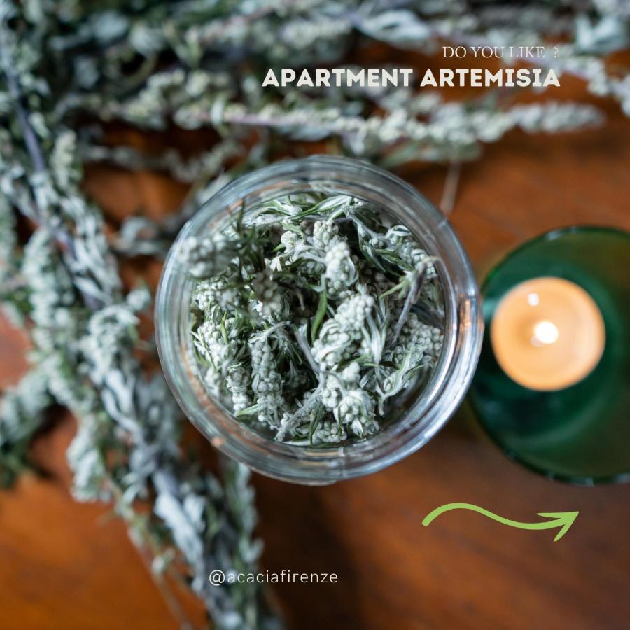Acacia Firenze Apartments Artemisia-Angelica Esterno foto